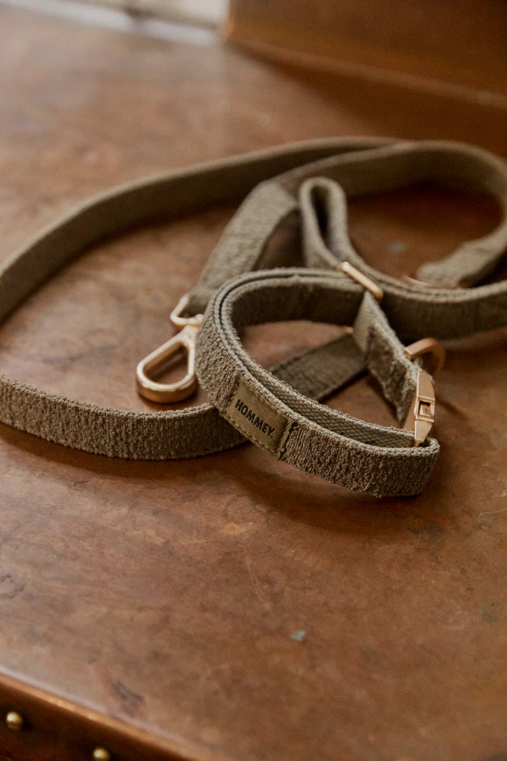 Hommey Boucle Pet Lead - Olive