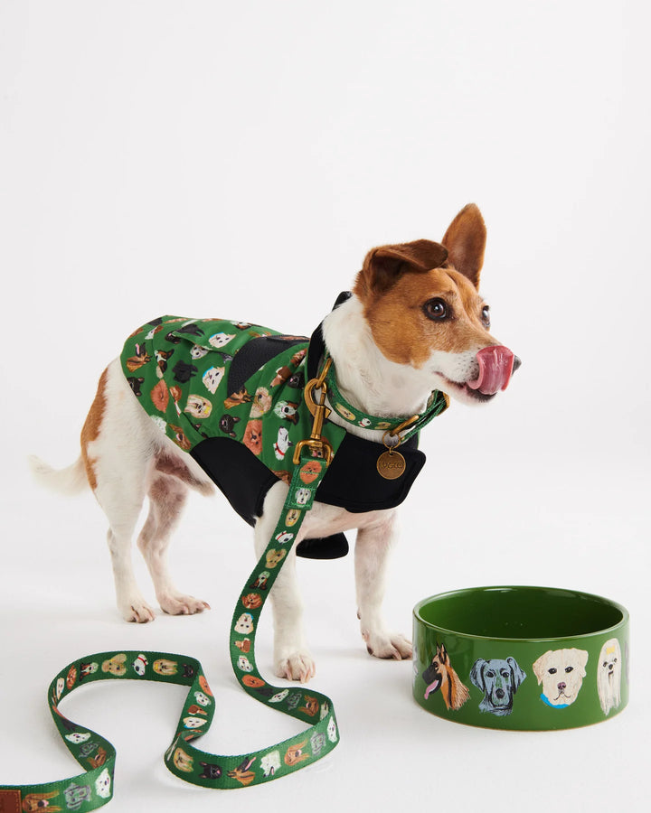 Kip & Co Dog Park Dog Jacket