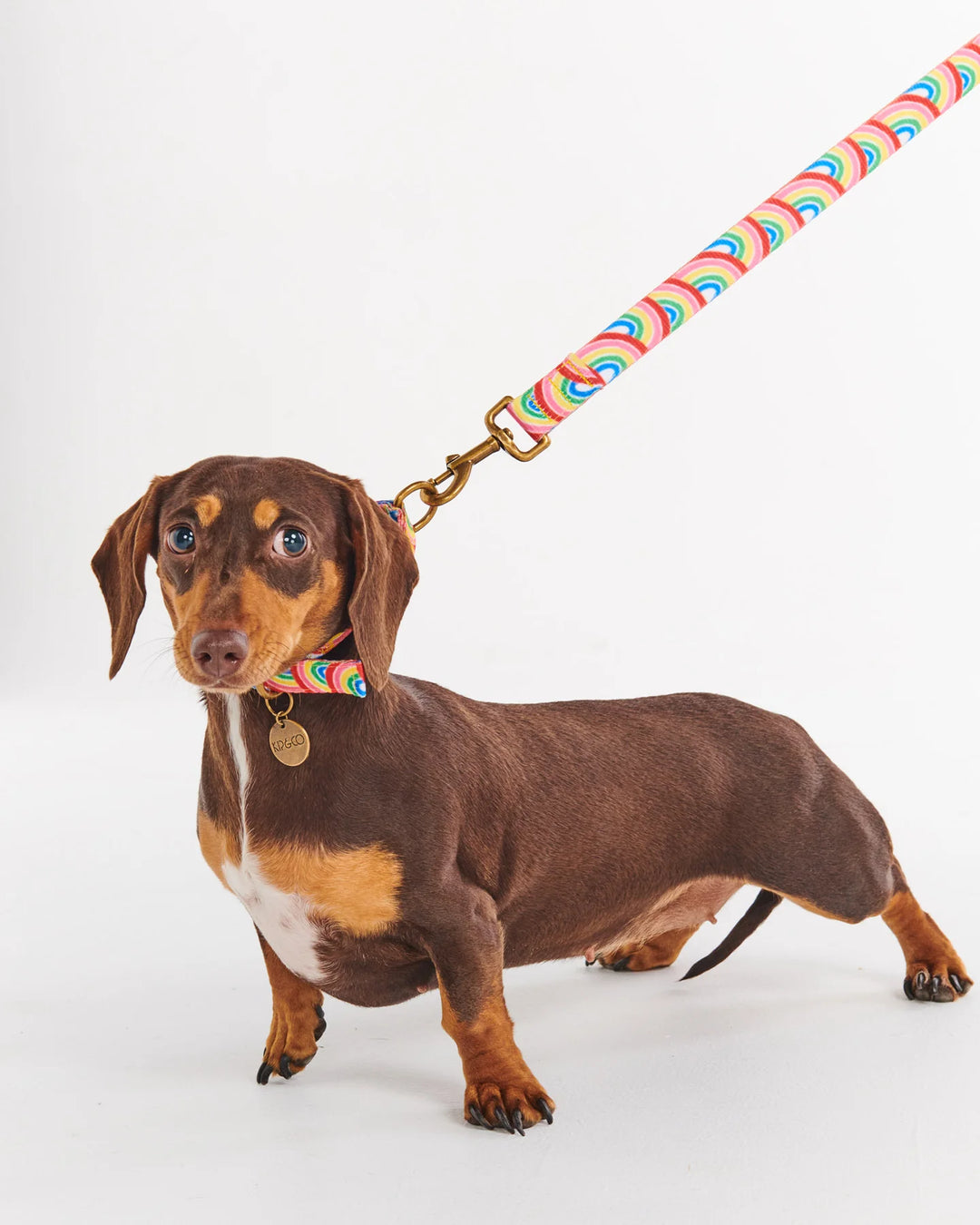 Kip & Co Rainbow Spray Dog Lead