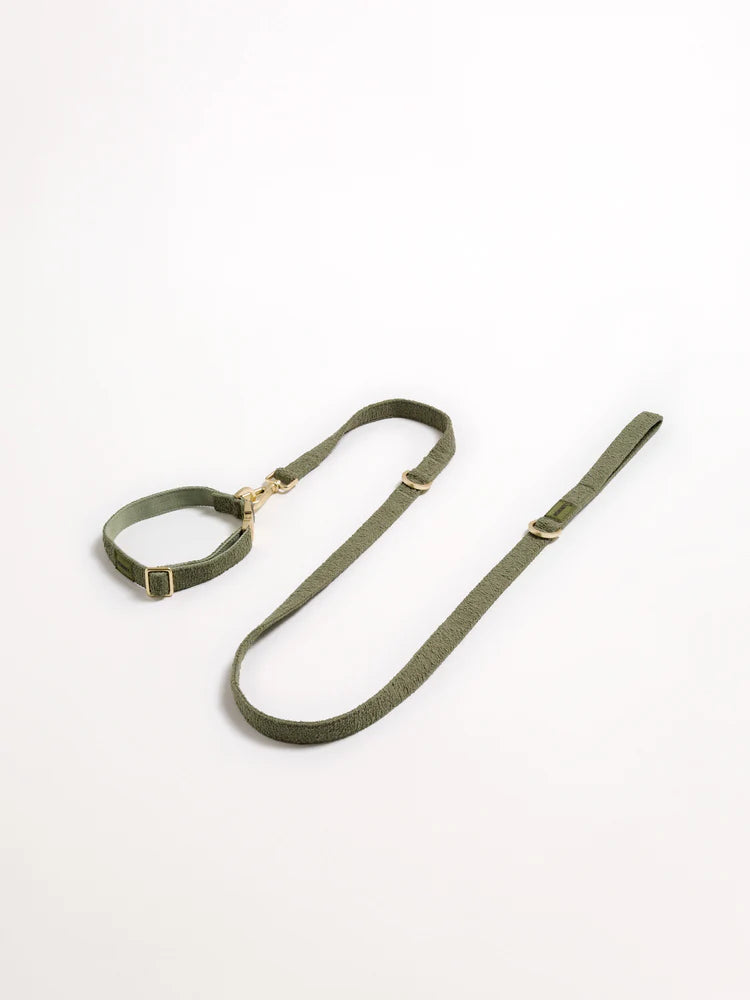 Hommey Boucle Pet Lead - Olive