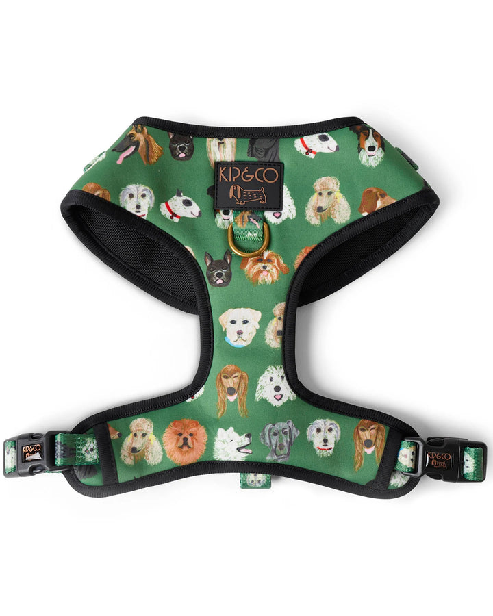 Kip & Co Dog Park Dog Harness